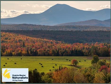Photo of Blue Ridge mountain scenery with Old Rag Master Naturalists logo